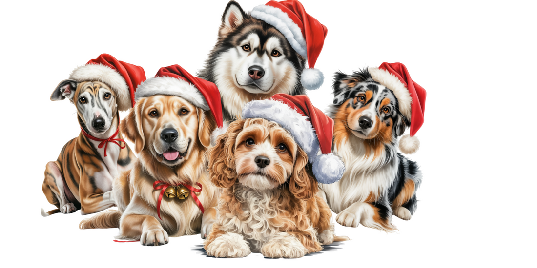 Welcome to Christmas Fun