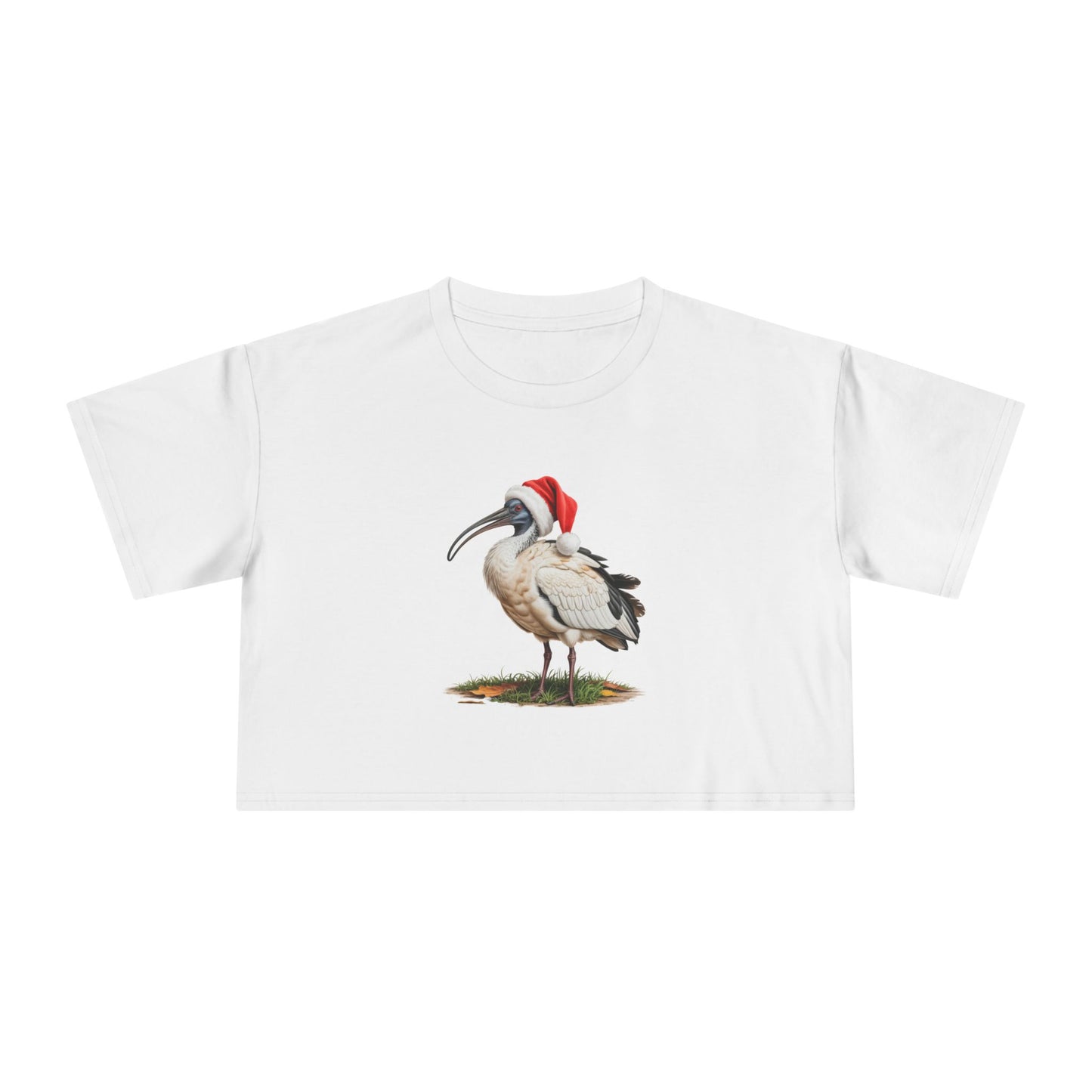 Christmas Ibis Crop Tee — Festive Bird Santa Hat Top