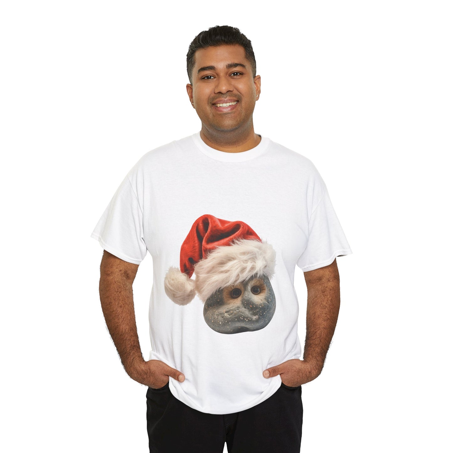 Christmas Gray Pet Rock T-Shirt – Funny Holiday Rock Lover Tee, Festive Gag Gift Shirt, Cute Pet Rock Xmas Gift, Humor Lover Apparel, Holiday Novelty Shirt for Pet Rock Fans