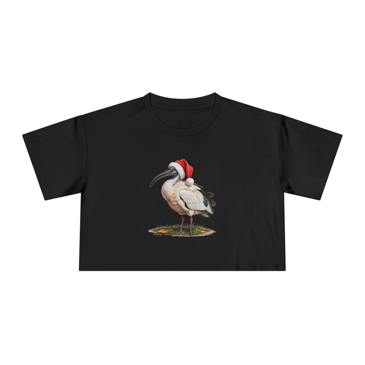 Christmas Ibis Crop Tee — Festive Bird Santa Hat Top